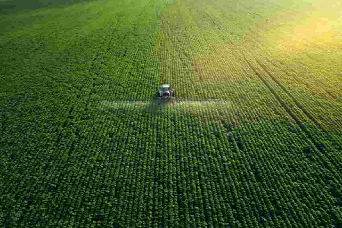 Trattore spruzza fertilizzante sui campi coltivati