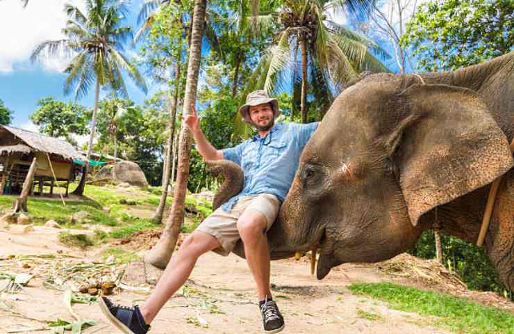 Uomo seduto sulla proboscide di un elefante