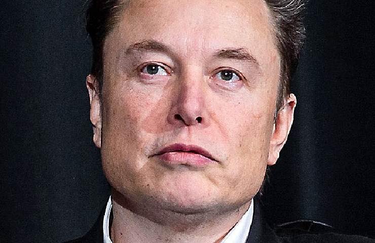 Un ritratto di Elon Musk