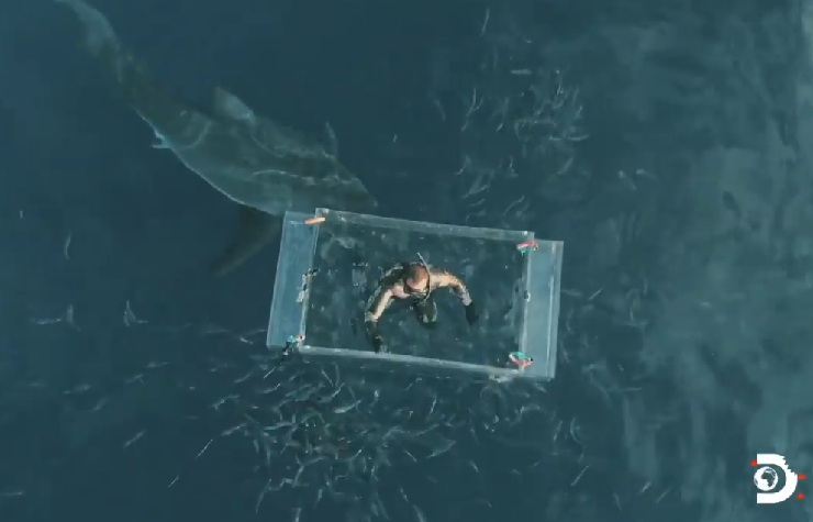 Dentro una gabbia trasparente si vede un sub all'interno e fuori uno squalo in mare