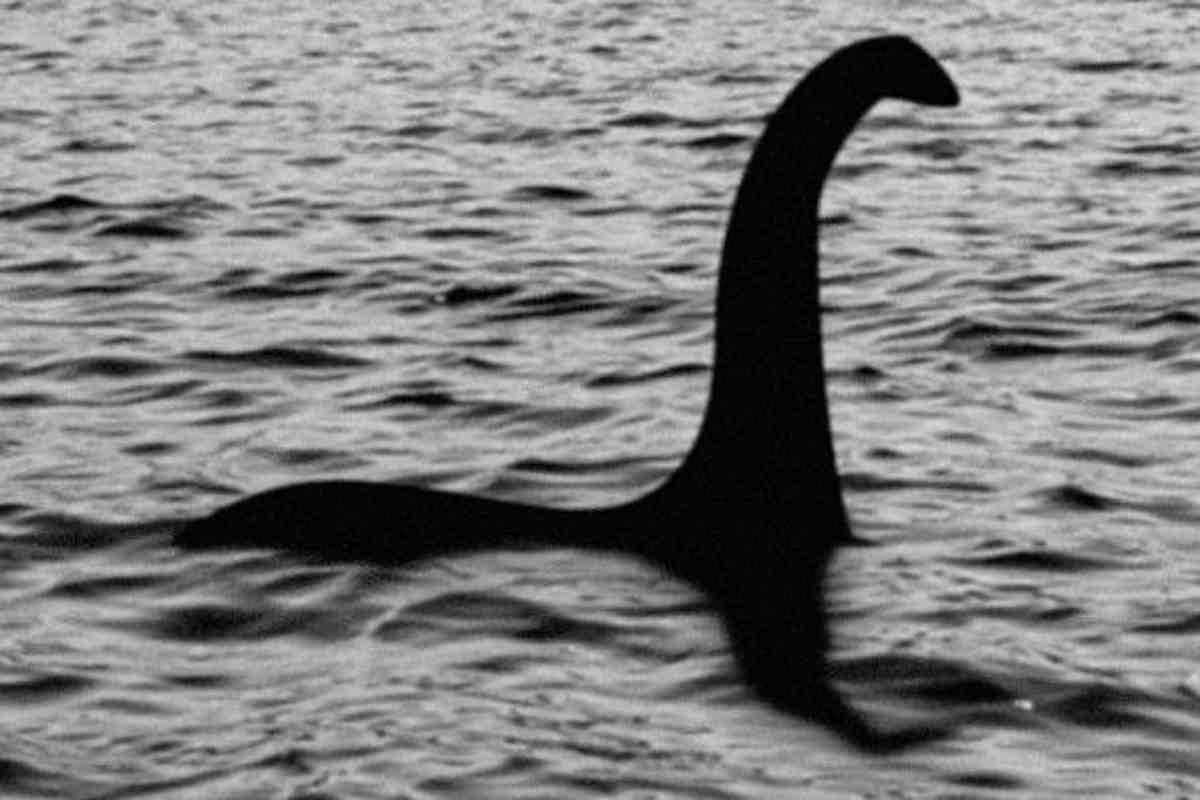 Presunta foto del mostro di Loch Ness