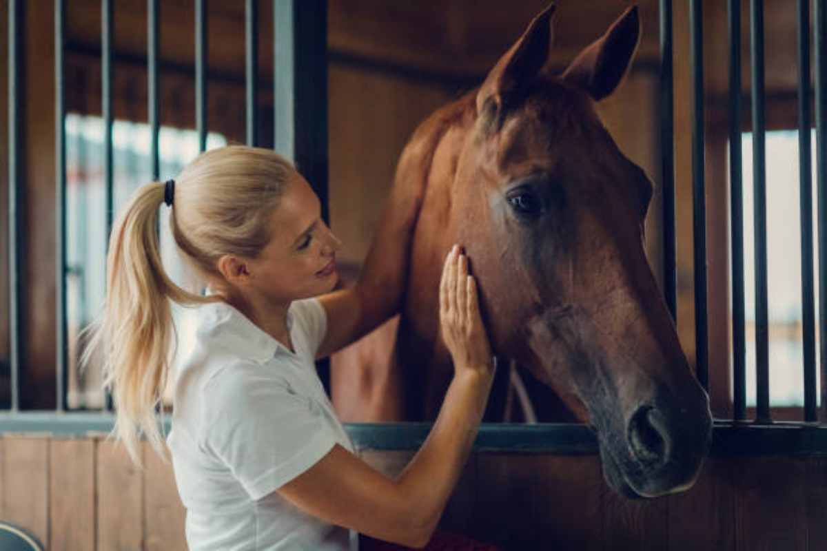 Ragazza con il suo cavallo nella stalla