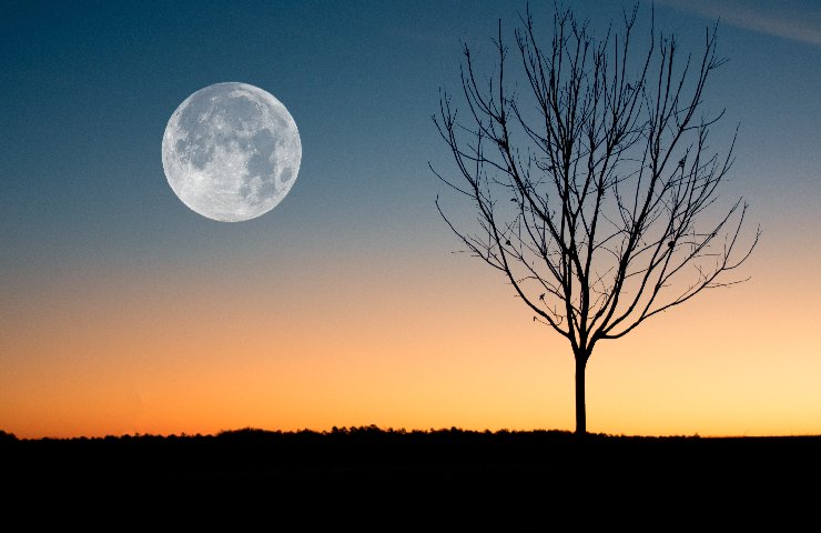 Luna piena su un cielo al tramondo e un albero in controluce