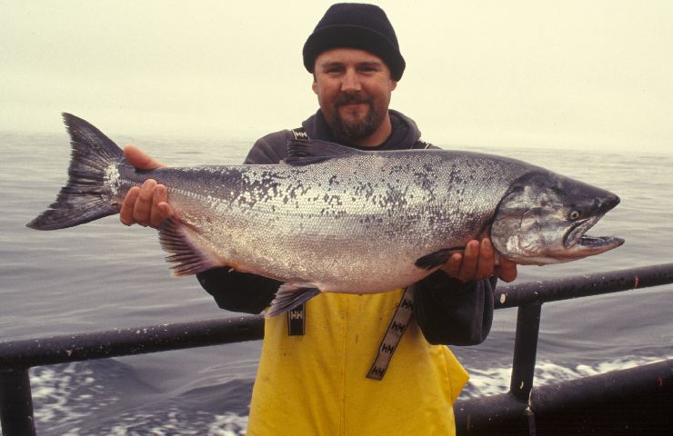 Salmone