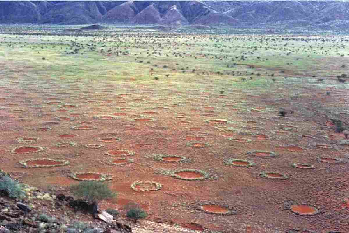 Cerchi di fate in un campo colorato e suggestivo