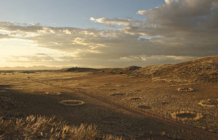 Cerchi di fate in mezzo ad una zona arida