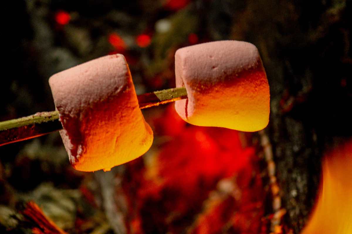 Mashmallow arrostiti