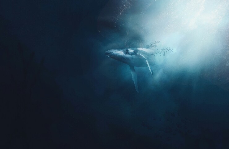 balena che nuota nelle profondità del mare