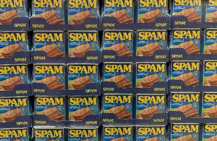 Spam, il prosciutto speziato da cui deriva la parola "spam" utilizzata per indicare qualcosa di sgradevole